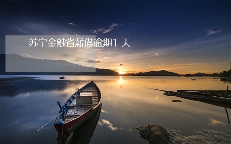 苏宁金融省薪借逾期1天 苏宁金融省薪借逾期1天