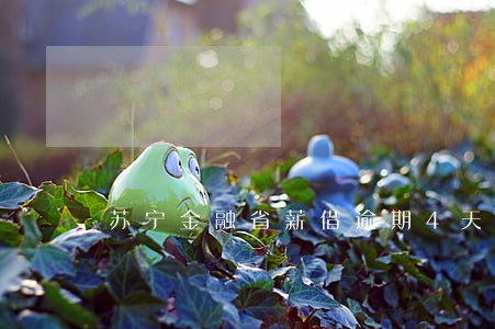苏宁金融省薪借逾期4天严重吗 苏宁金融省薪借逾期4天严重吗