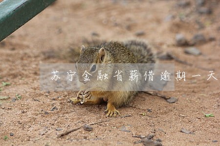 苏宁金融省薪借逾期一天 苏宁金融省薪借逾期一天
