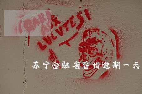 苏宁金融省薪借逾期一天要紧不 苏宁金融省薪借逾期一天要紧不