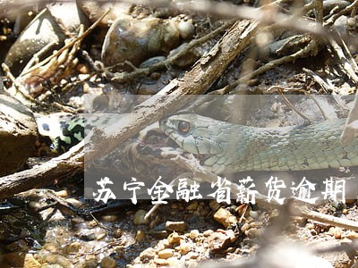 苏宁金融省薪货逾期 苏宁金融省薪货逾期