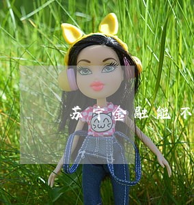 苏宁金融能不能逾期 苏宁金融能不能逾期