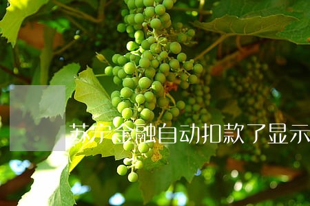 苏宁金融自动扣款了显示逾期