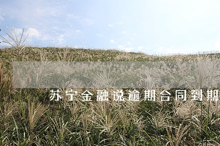 苏宁金融说逾期合同到期 苏宁金融说逾期合同到期