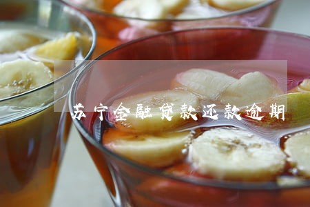苏宁金融贷款还款逾期 苏宁金融贷款还款逾期