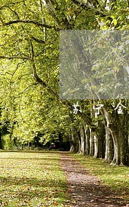 苏宁金融贷款逾期几天上征信