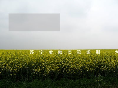 苏宁金融还款逾期一天会怎么样 苏宁金融还款逾期一天会怎么样