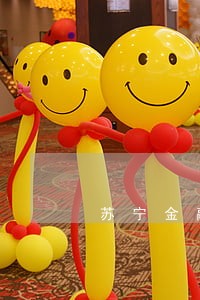 苏宁金融还款逾期怎么办 苏宁金融还款逾期怎么办
