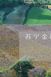 苏宁金融逾期10天 苏宁金融逾期10天