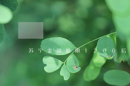 苏宁金融逾期1200后果严重吗 苏宁金融逾期1200后果严重吗