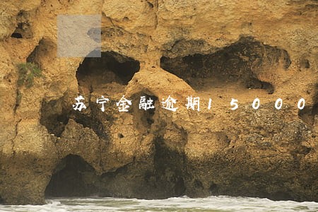 苏宁金融逾期15000 苏宁金融逾期15000