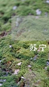 苏宁金融逾期200 苏宁金融逾期200