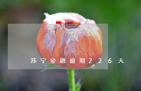 苏宁金融逾期226天 苏宁金融逾期226天