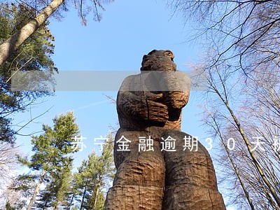 苏宁金融逾期30天被代偿