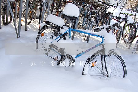 苏宁金融逾期3个月 苏宁金融逾期3个月