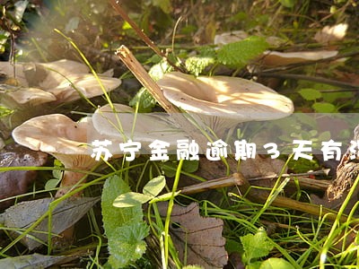 苏宁金融逾期3天有没有影响