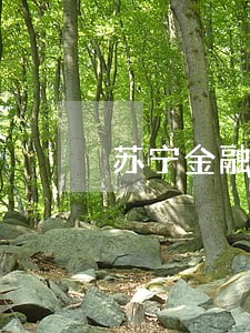 苏宁金融逾期3年已变呆账 苏宁金融逾期3年已变呆账