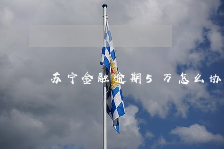 苏宁金融逾期5万怎么协商还本 苏宁金融逾期5万怎么协商还本