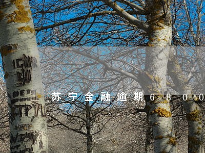 苏宁金融逾期6800 苏宁金融逾期6800
