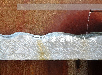 苏宁金融逾期90天