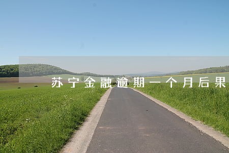 苏宁金融逾期一个月后果严重吗 苏宁金融逾期一个月后果严重吗