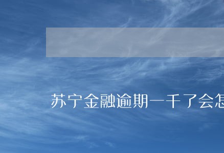 苏宁金融逾期一千了会怎样 苏宁金融逾期一千了会怎样