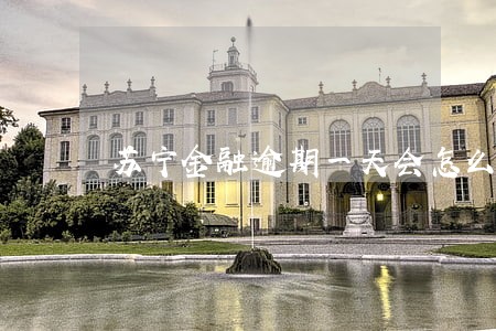 苏宁金融逾期一天会怎么样 苏宁金融逾期一天会怎么样