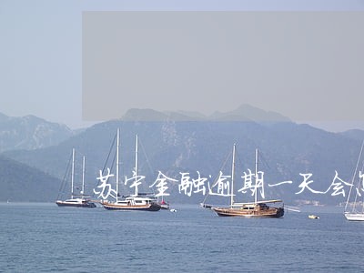 苏宁金融逾期一天会怎样 苏宁金融逾期一天会怎样