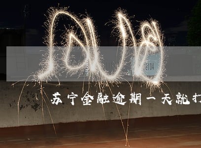 苏宁金融逾期一天就打电话 苏宁金融逾期一天就打电话