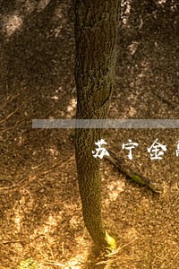 苏宁金融逾期一天就打电话了