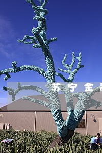 苏宁金融逾期一天就有外包打电话 苏宁金融逾期一天就有外包打电话