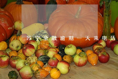 苏宁金融逾期一天来电话 苏宁金融逾期一天来电话