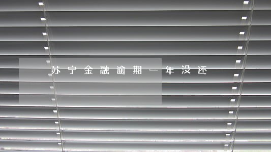 苏宁金融逾期一年没还 苏宁金融逾期一年没还