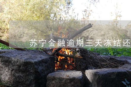 苏宁金融逾期三天冻结还能解冻吗 苏宁金融逾期三天冻结还能解冻吗