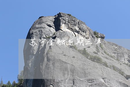 苏宁金融逾期三年 苏宁金融逾期三年