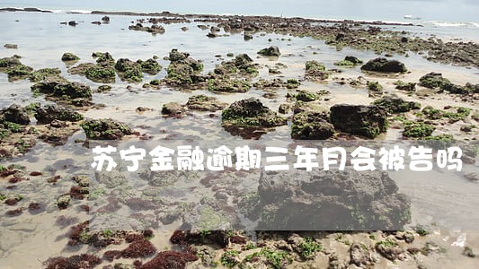 苏宁金融逾期三年月会被告吗 苏宁金融逾期三年月会被告吗