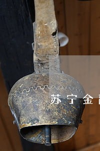苏宁金融逾期上报银行 苏宁金融逾期上报银行