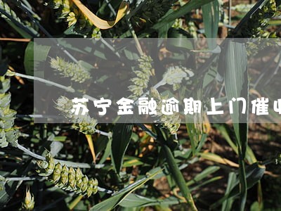 苏宁金融逾期上门催收怎么处理 苏宁金融逾期上门催收怎么处理