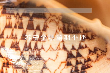 苏宁金融逾期不还 苏宁金融逾期不还