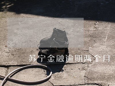 苏宁金融逾期两个月了怎么办 苏宁金融逾期两个月了怎么办