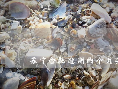 苏宁金融逾期两个月会怎样 苏宁金融逾期两个月会怎样