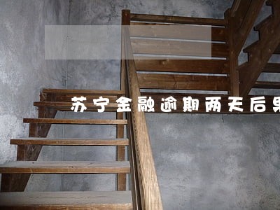 苏宁金融逾期两天后果 苏宁金融逾期两天后果
