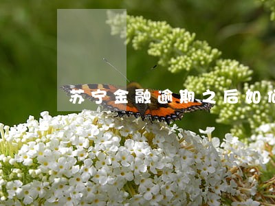 苏宁金融逾期之后如何还款 苏宁金融逾期之后如何还款