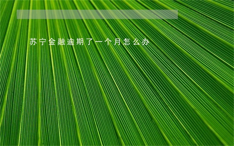 苏宁金融逾期了一个月怎么办 苏宁金融逾期了一个月怎么办