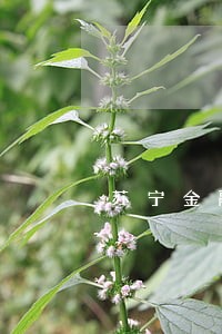 苏宁金融逾期了没有催收 苏宁金融逾期了没有催收