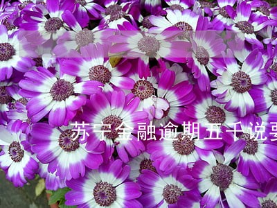 苏宁金融逾期五千说要上门 苏宁金融逾期五千说要上门