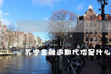 苏宁金融逾期代偿是什么意思 苏宁金融逾期代偿是什么意思