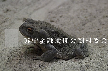 苏宁金融逾期会到村委会吗 苏宁金融逾期会到村委会吗