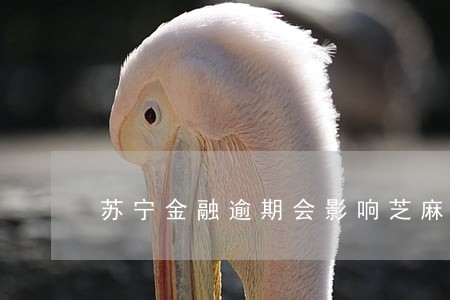 苏宁金融逾期会影响芝麻信用吗 苏宁金融逾期会影响芝麻信用吗