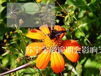 苏宁金融逾期会影响芝麻分吗 苏宁金融逾期会影响芝麻分吗